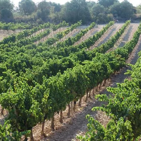 Trulls D'auligue La Pobla de Massaluca