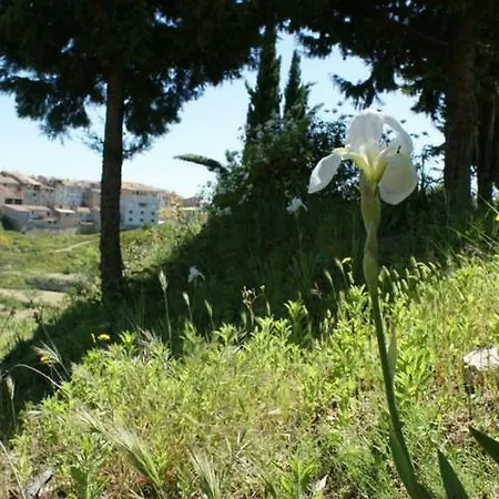 Trulls D'auligue La Pobla de Massaluca